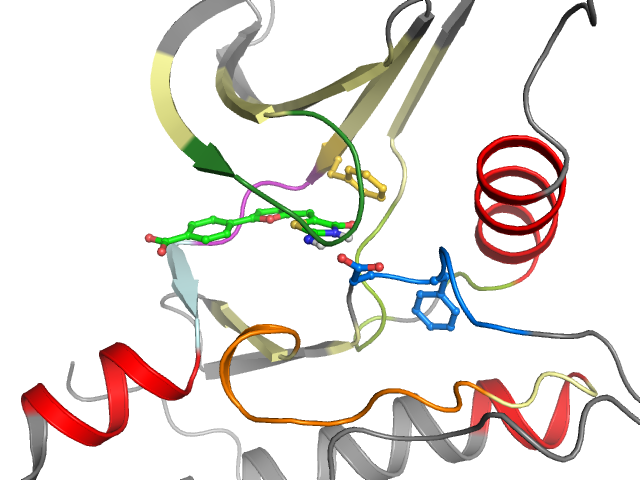 The orthosteric binding pocket