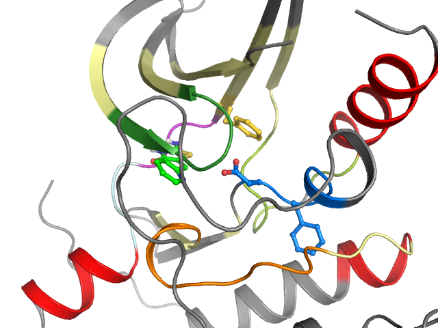 The orthosteric binding pocket