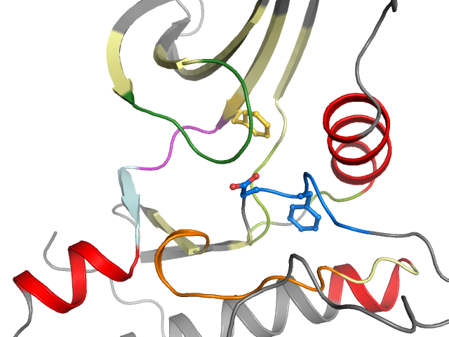 The orthosteric binding pocket