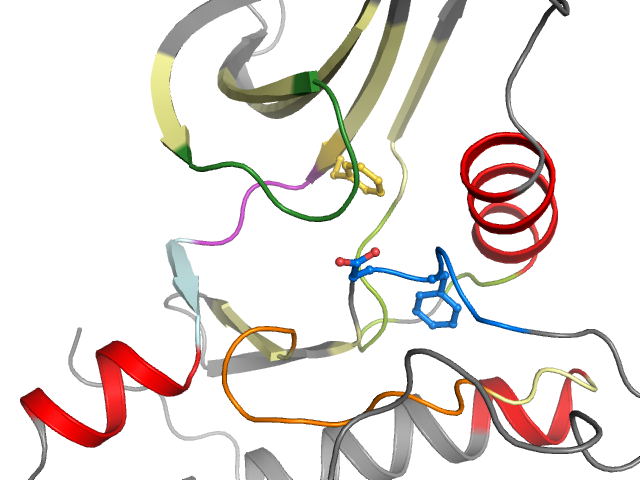The orthosteric binding pocket