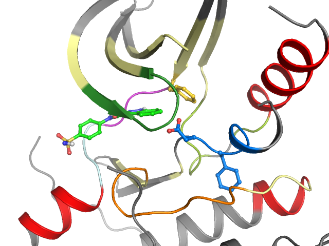 The orthosteric binding pocket