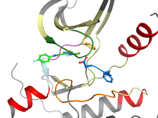 The orthosteric binding pocket