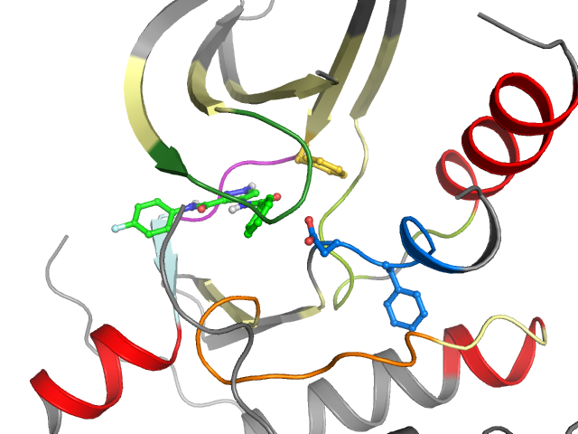 The orthosteric binding pocket