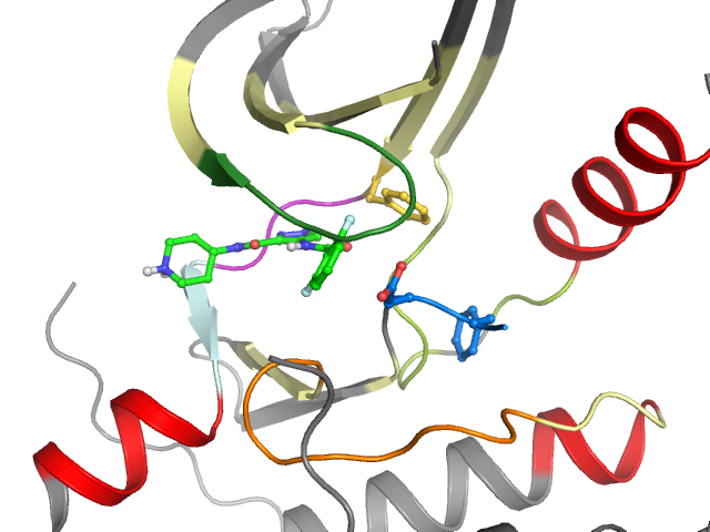 The orthosteric binding pocket