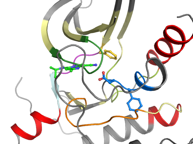 The orthosteric binding pocket