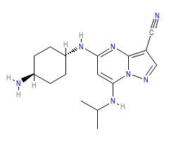 2D structure of the orthosteric ligand