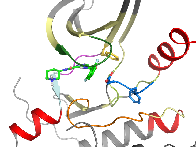 The orthosteric binding pocket