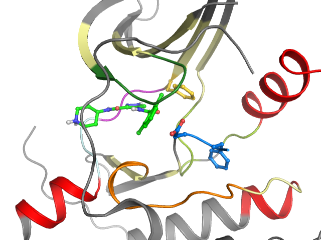 The orthosteric binding pocket