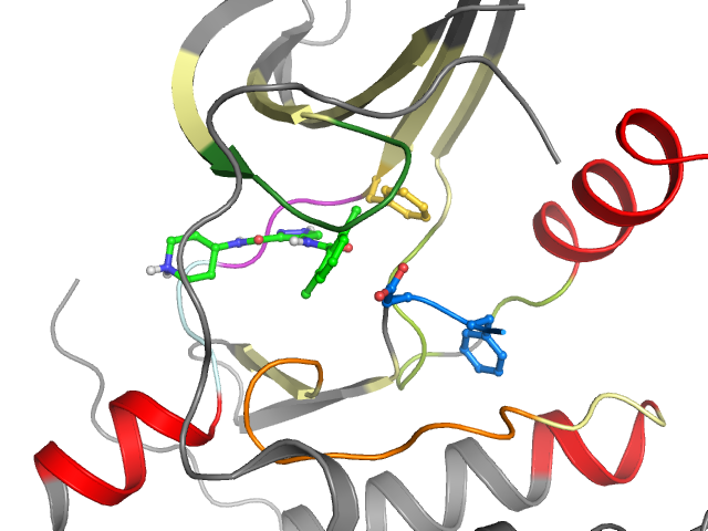 The orthosteric binding pocket
