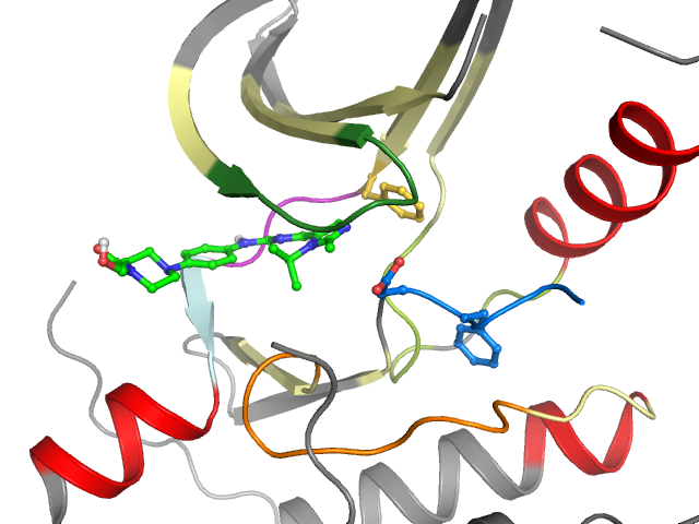 The orthosteric binding pocket