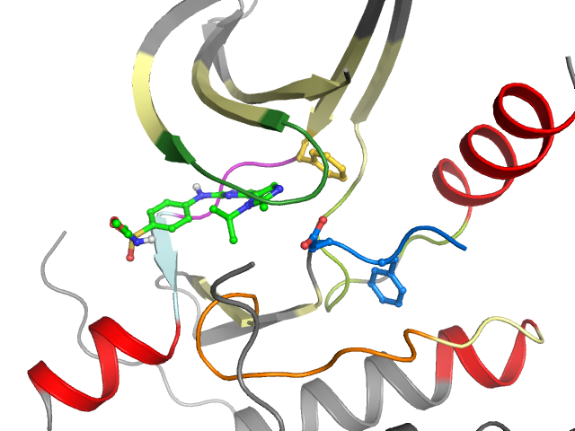 The orthosteric binding pocket