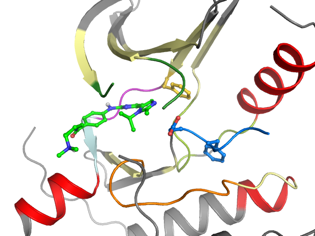 The orthosteric binding pocket