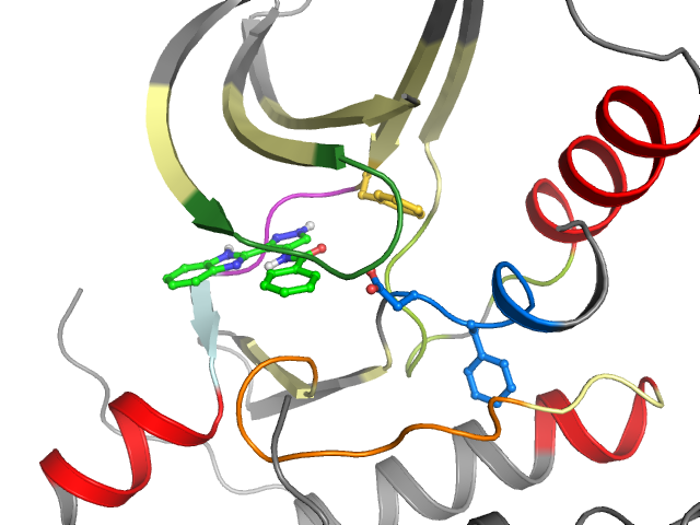 The orthosteric binding pocket