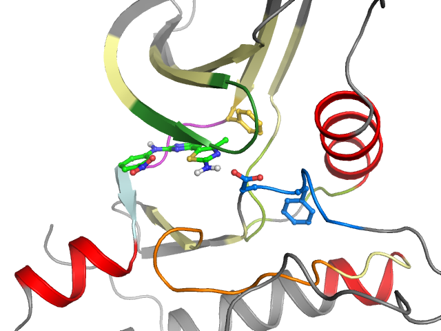 The orthosteric binding pocket