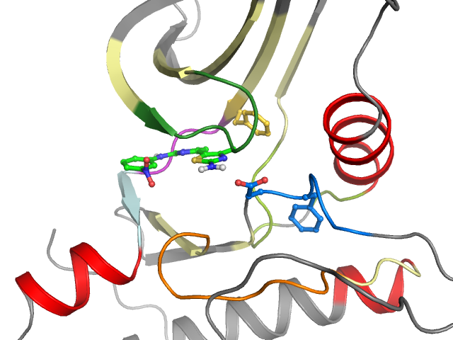 The orthosteric binding pocket