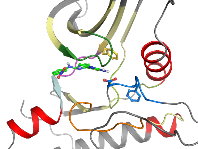 The orthosteric binding pocket