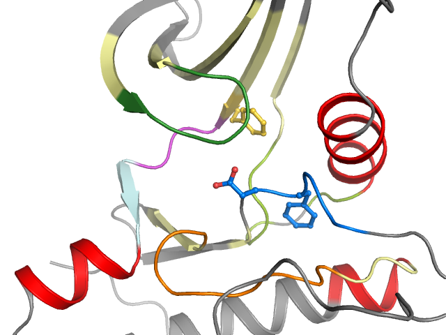The orthosteric binding pocket