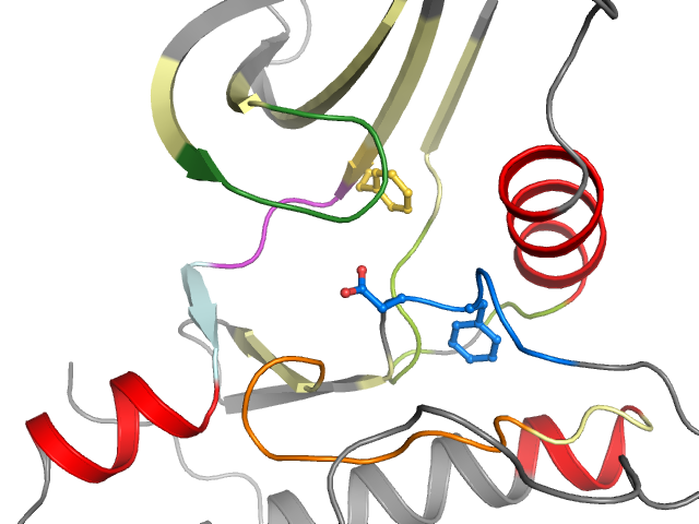 The orthosteric binding pocket