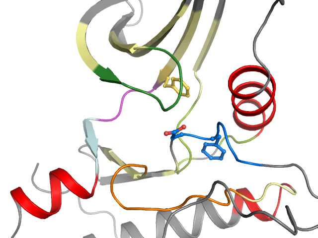 The orthosteric binding pocket