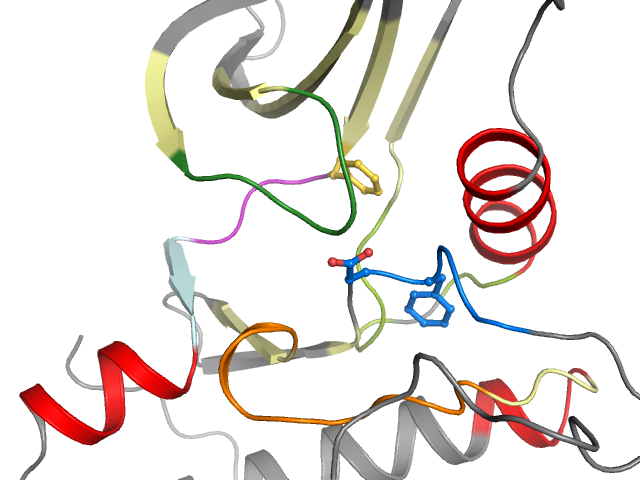The orthosteric binding pocket