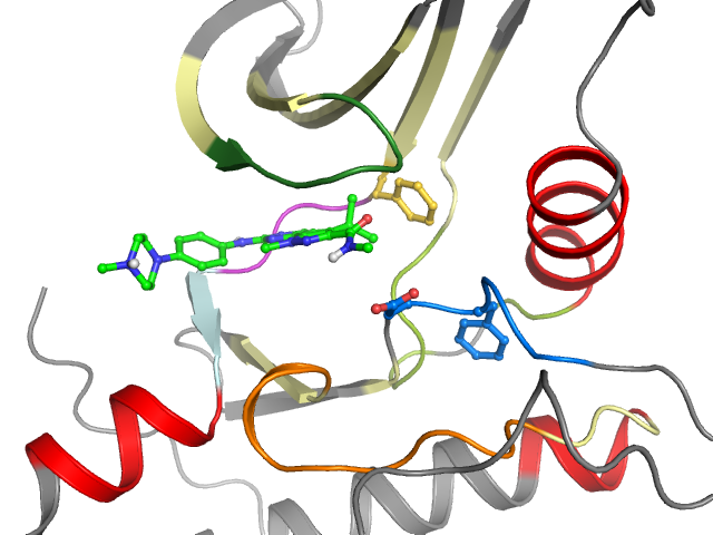 The orthosteric binding pocket
