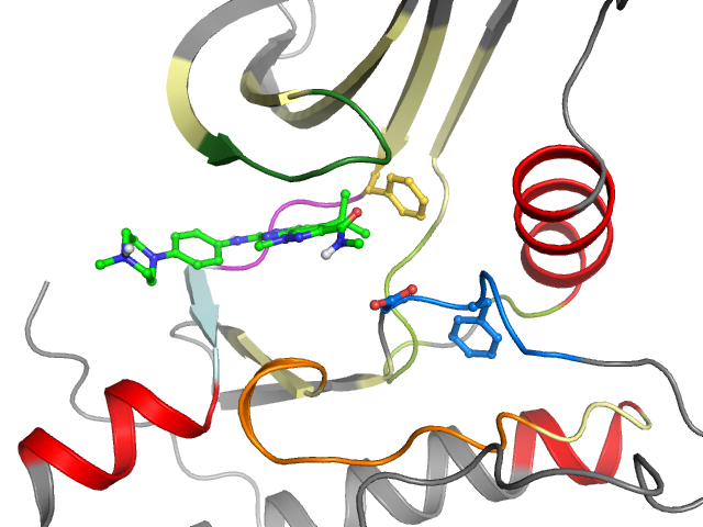 The orthosteric binding pocket