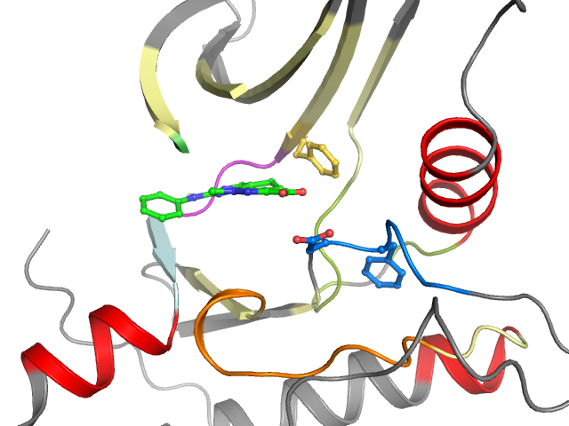 The orthosteric binding pocket