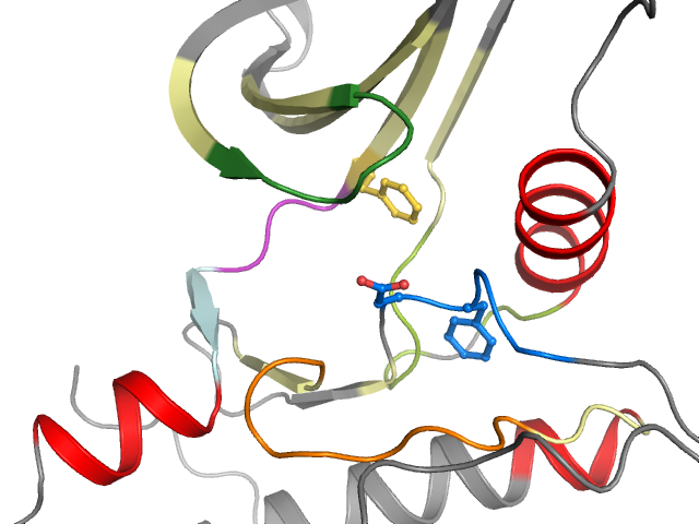 The orthosteric binding pocket