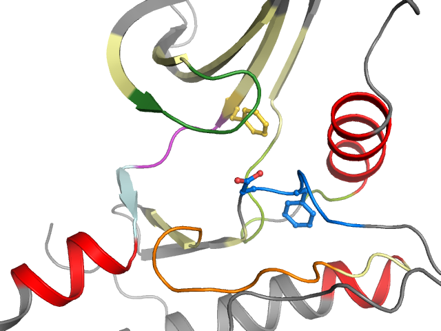 The orthosteric binding pocket