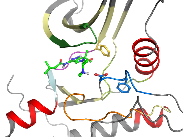The orthosteric binding pocket