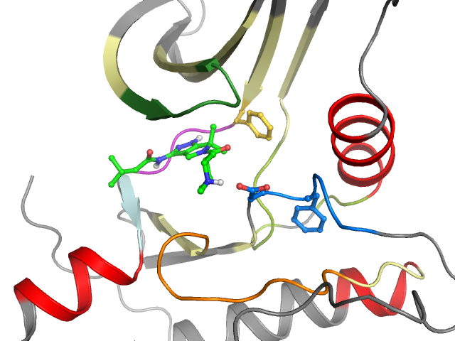 The orthosteric binding pocket