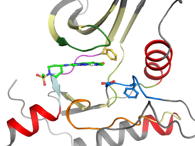 The orthosteric binding pocket