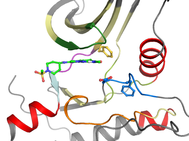 The orthosteric binding pocket