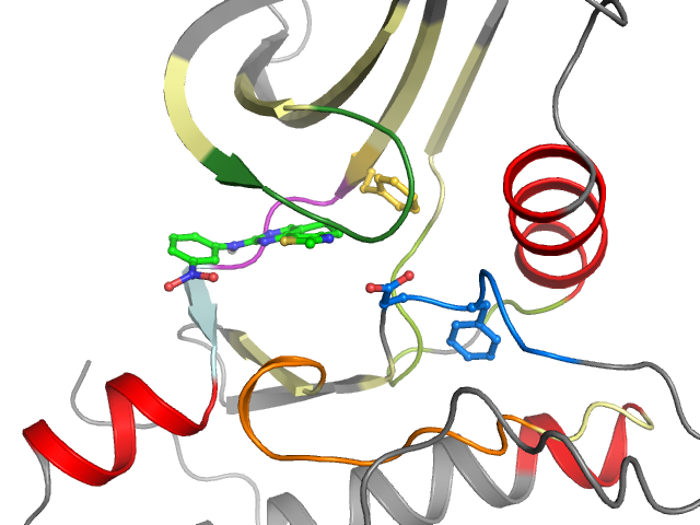 The orthosteric binding pocket