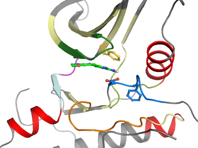 The orthosteric binding pocket