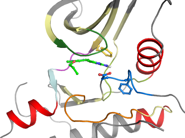 The orthosteric binding pocket