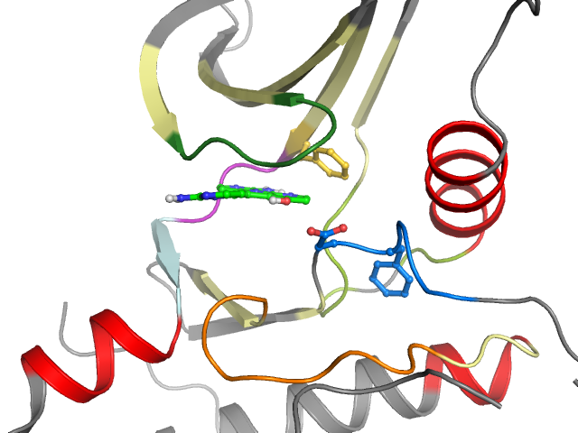 The orthosteric binding pocket