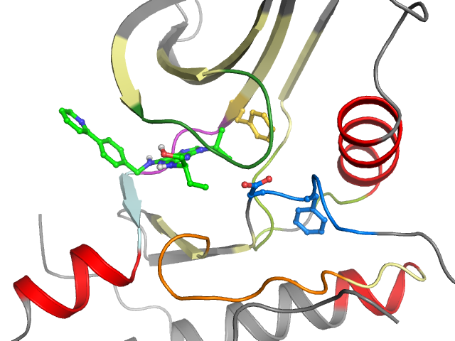 The orthosteric binding pocket