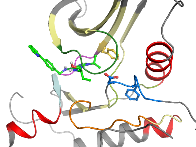 The orthosteric binding pocket