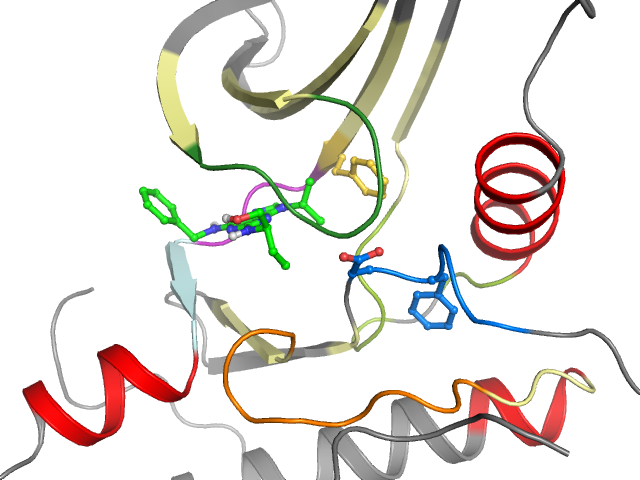 The orthosteric binding pocket