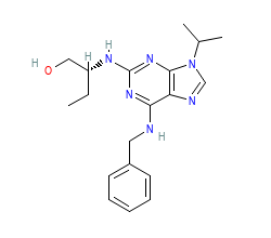 2D structure of the orthosteric ligand