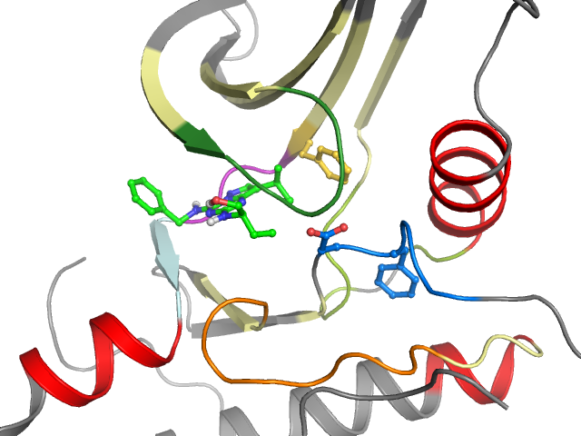 The orthosteric binding pocket