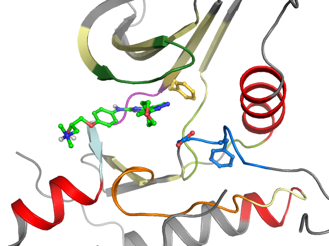 The orthosteric binding pocket