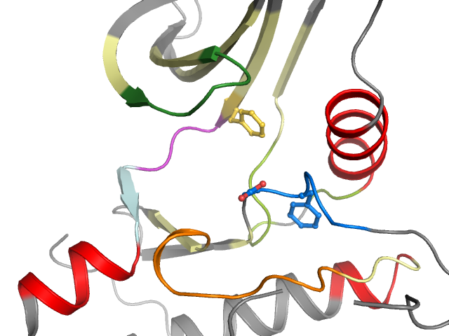 The orthosteric binding pocket