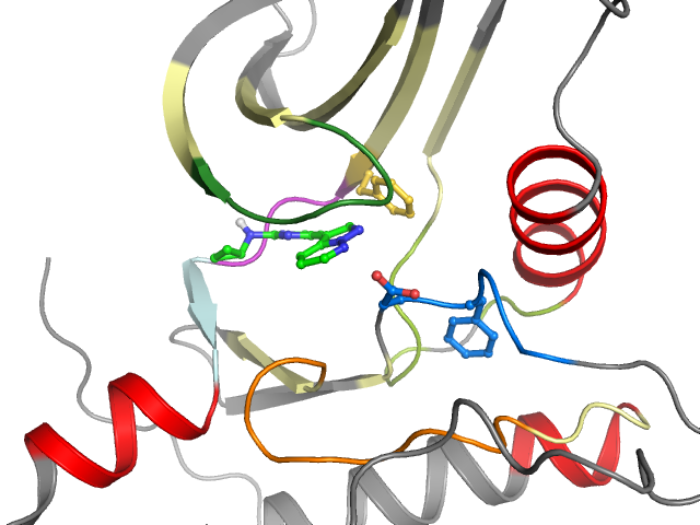 The orthosteric binding pocket