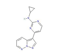 2D structure of the orthosteric ligand
