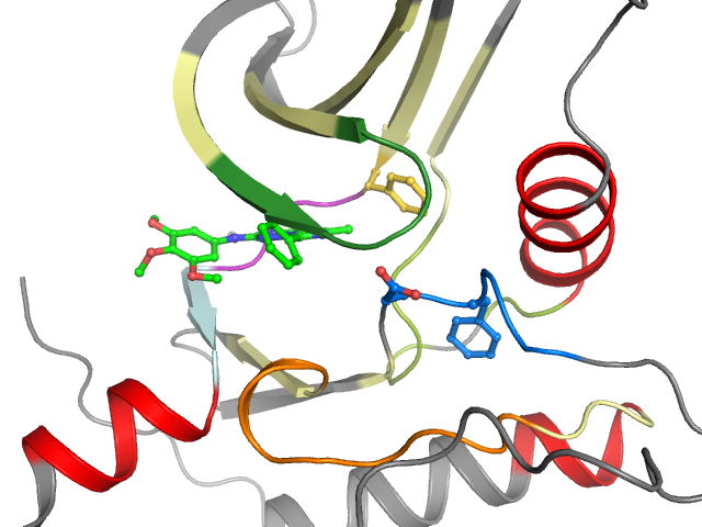 The orthosteric binding pocket