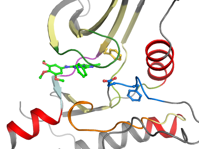 The orthosteric binding pocket