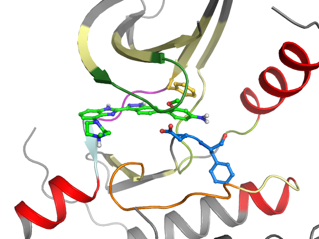 The orthosteric binding pocket
