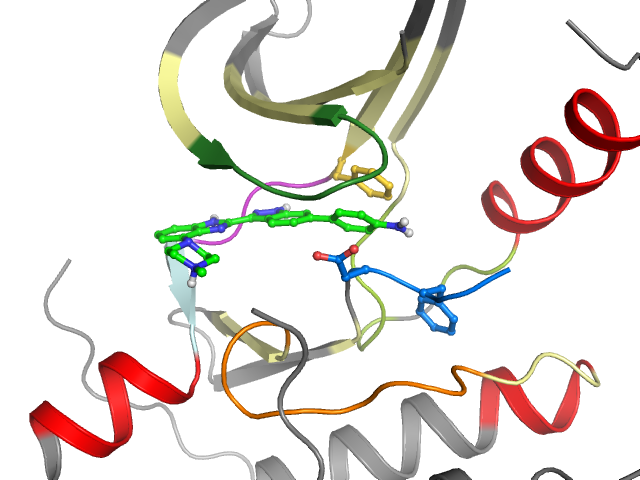 The orthosteric binding pocket